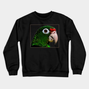 Parrot / Cotorra Crewneck Sweatshirt